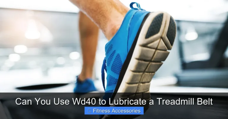 Can You Use Wd40 to Lubricate a Treadmill Belt