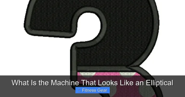 What Is the Machine That Looks Like an Elliptical