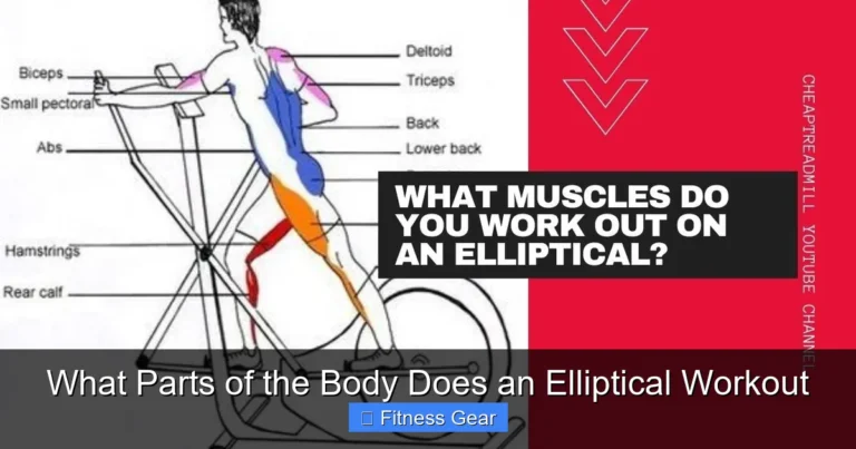 What Parts of the Body Does an Elliptical Workout