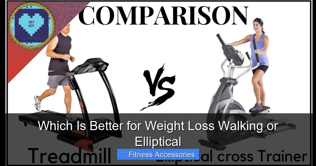 Which Is Better for Weight Loss Walking or Elliptical - gymhike.com