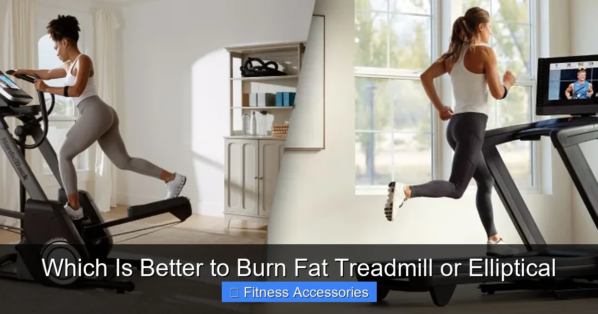 Which Is Better to Burn Fat Treadmill or Elliptical
