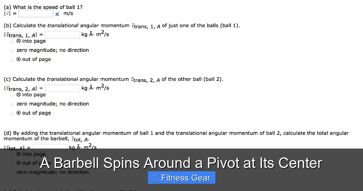 A Barbell Spins Around a Pivot at Its Center