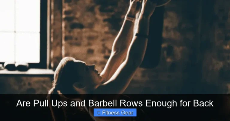 Are Pull Ups and Barbell Rows Enough for Back