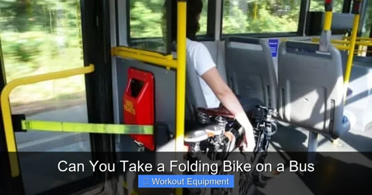 Can You Take a Folding Bike on a Bus