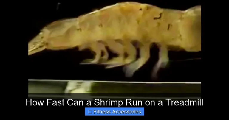 How Fast Can a Shrimp Run on a Treadmill