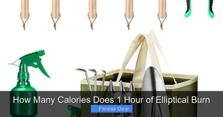 How Many Calories Does 1 Hour of Elliptical Burn