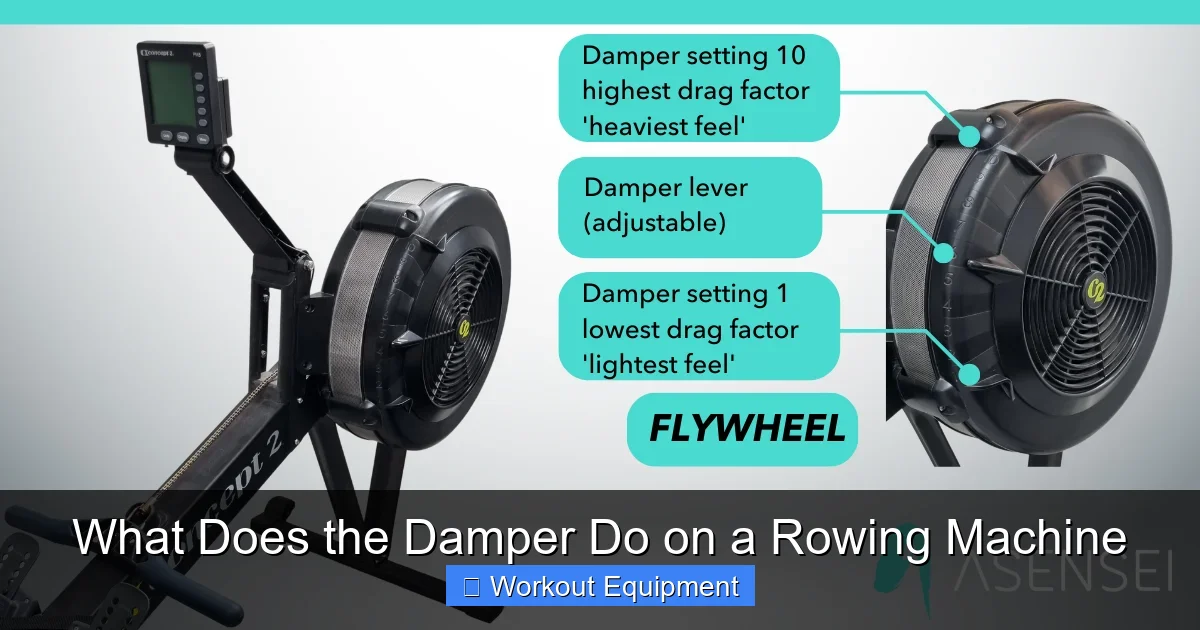 What Does the Damper Do on a Rowing Machine