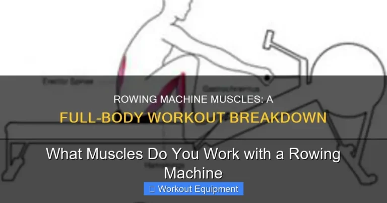 What Muscles Do You Work with a Rowing Machine