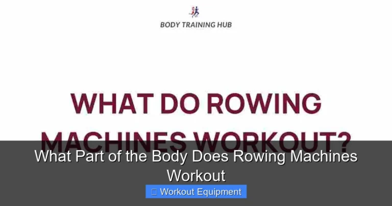 What Part of the Body Does Rowing Machines Workout
