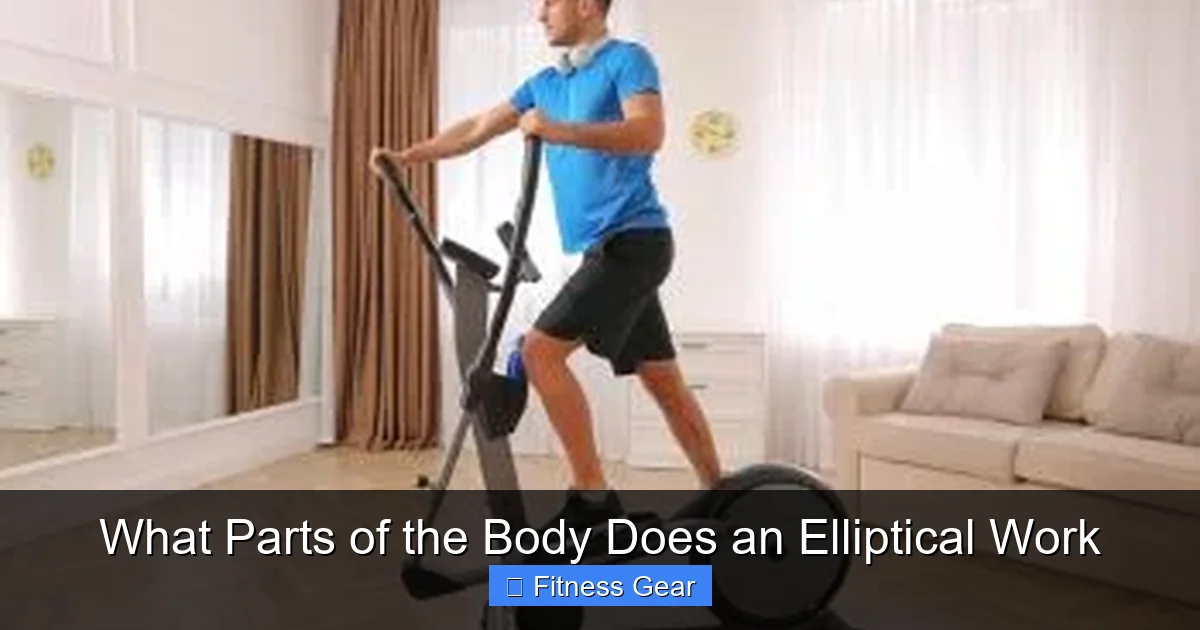 What Parts of the Body Does an Elliptical Work