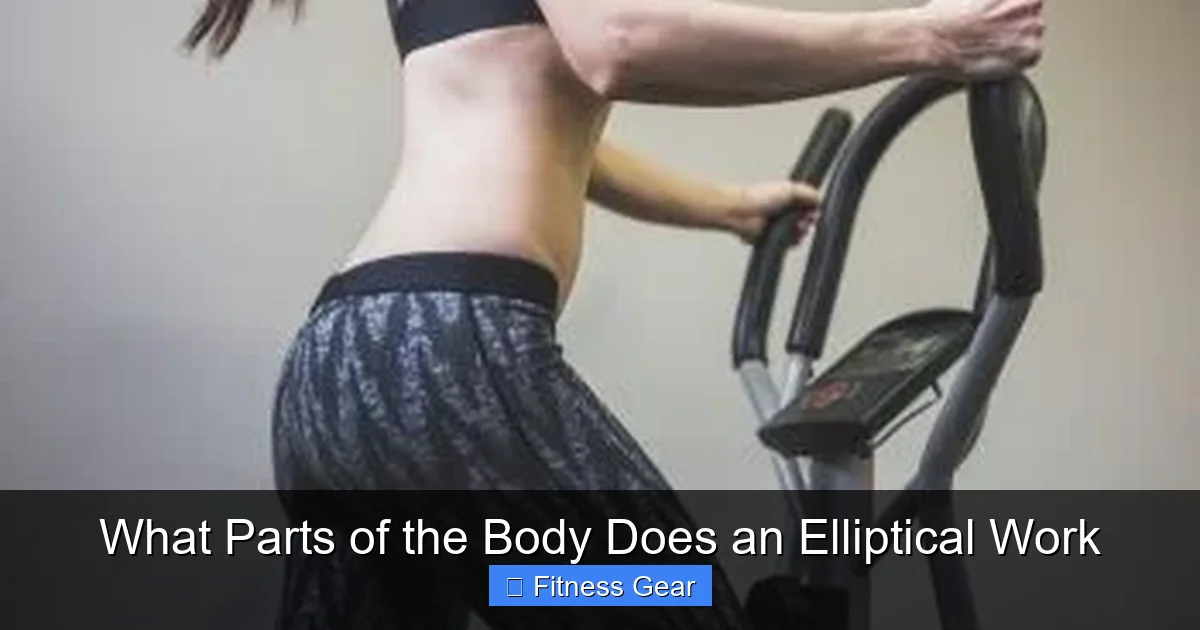 What Parts of the Body Does an Elliptical Work