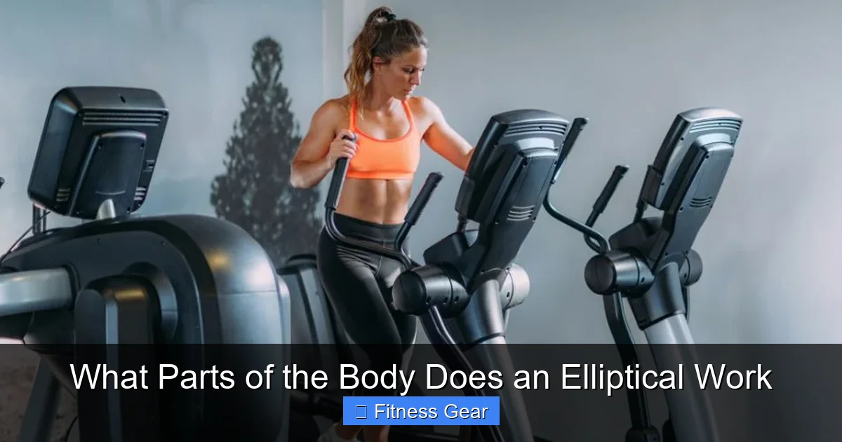 What Parts of the Body Does an Elliptical Work