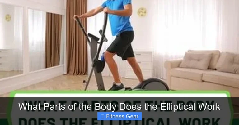 What Parts of the Body Does the Elliptical Work