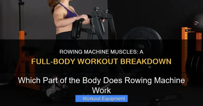 Which Part of the Body Does Rowing Machine Work