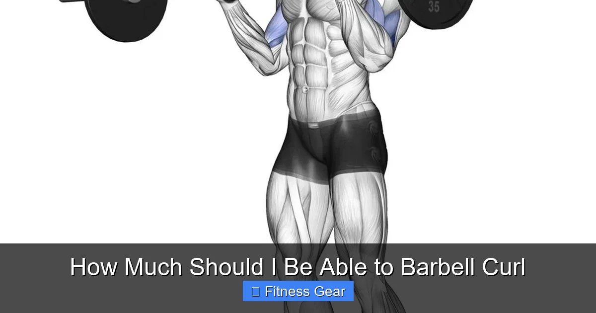 How Much Should I Be Able to Barbell Curl