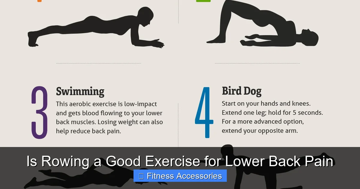 Is Rowing a Good Exercise for Lower Back Pain