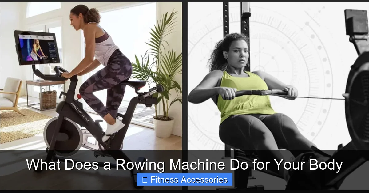 What Does a Rowing Machine Do for Your Body