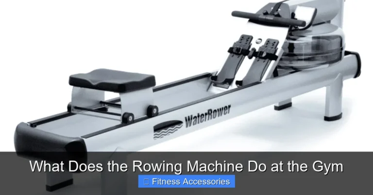 What Does the Rowing Machine Do at the Gym
