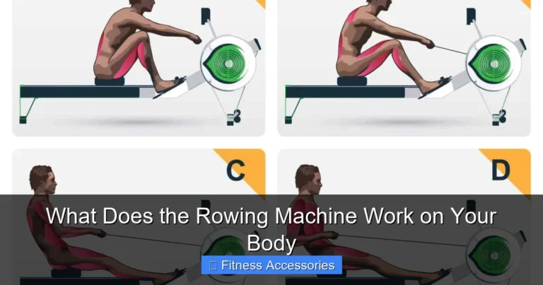 What Does the Rowing Machine Work on Your Body