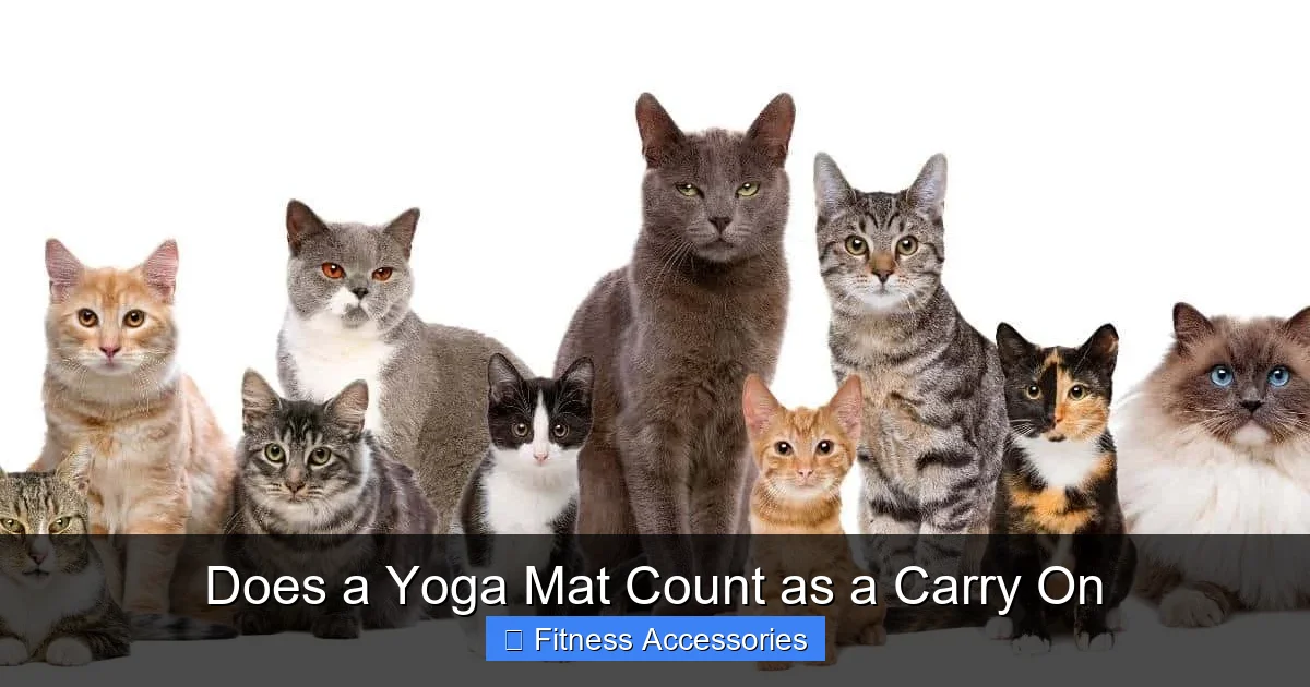Does a Yoga Mat Count as a Carry On