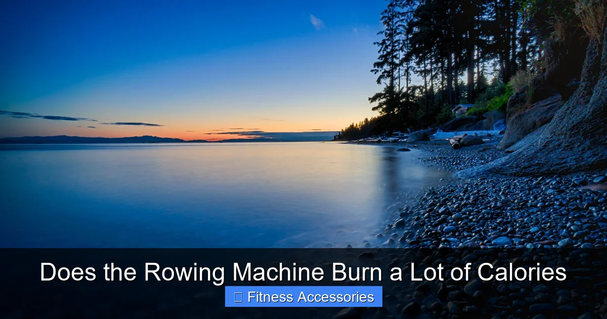 Does the Rowing Machine Burn a Lot of Calories