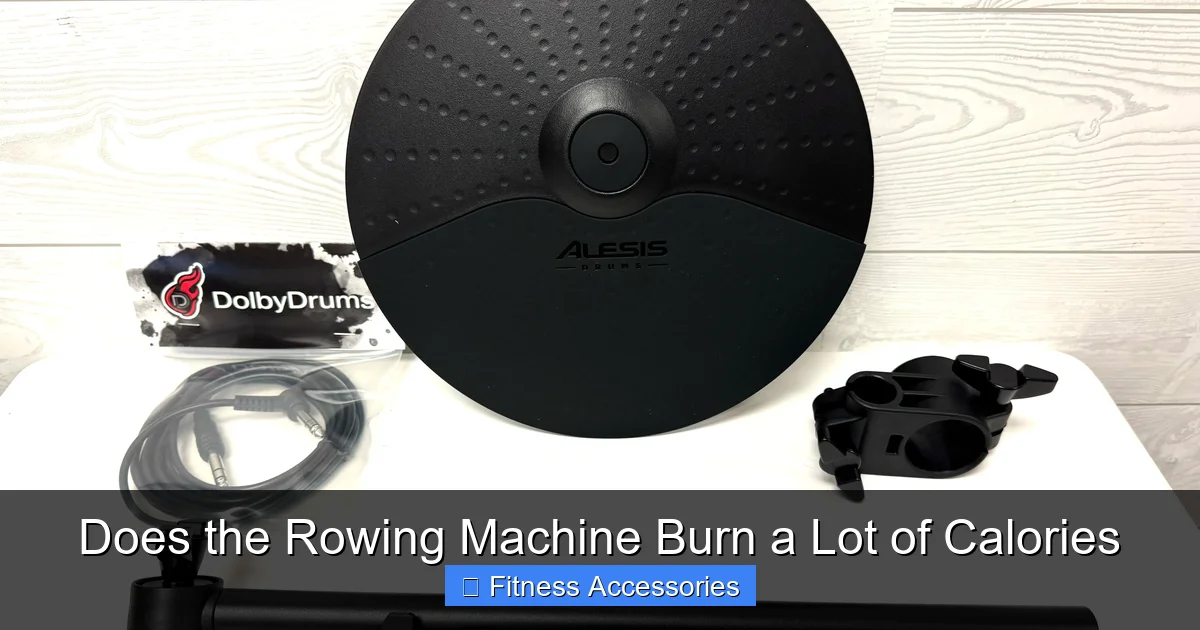 Does the Rowing Machine Burn a Lot of Calories