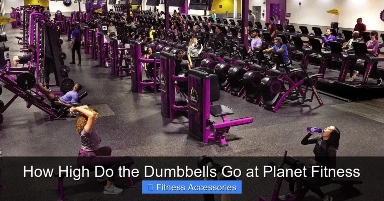 How High Do the Dumbbells Go at Planet Fitness