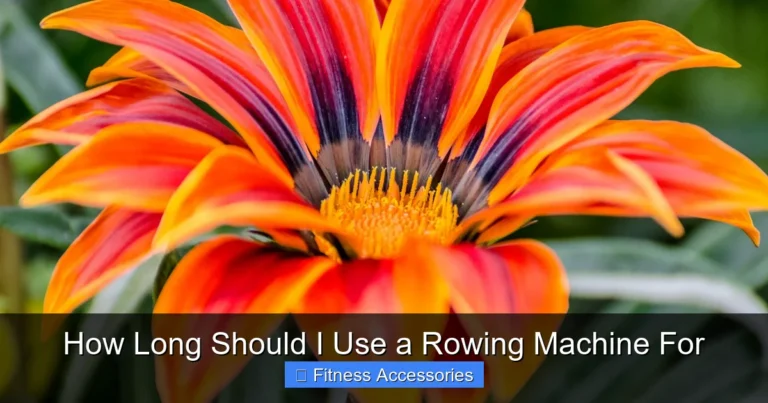 How Long Should I Use a Rowing Machine For