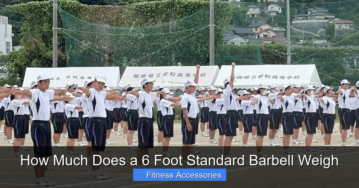 How Much Does a 6 Foot Standard Barbell Weigh