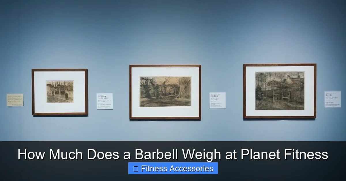 How Much Does a Barbell Weigh at Planet Fitness