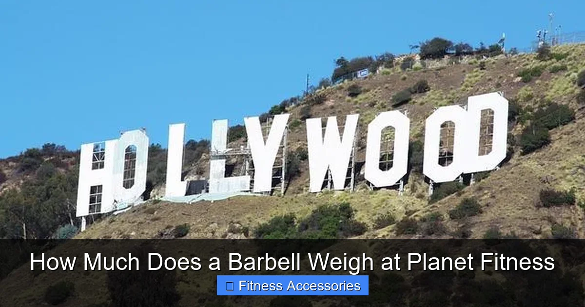 How Much Does a Barbell Weigh at Planet Fitness