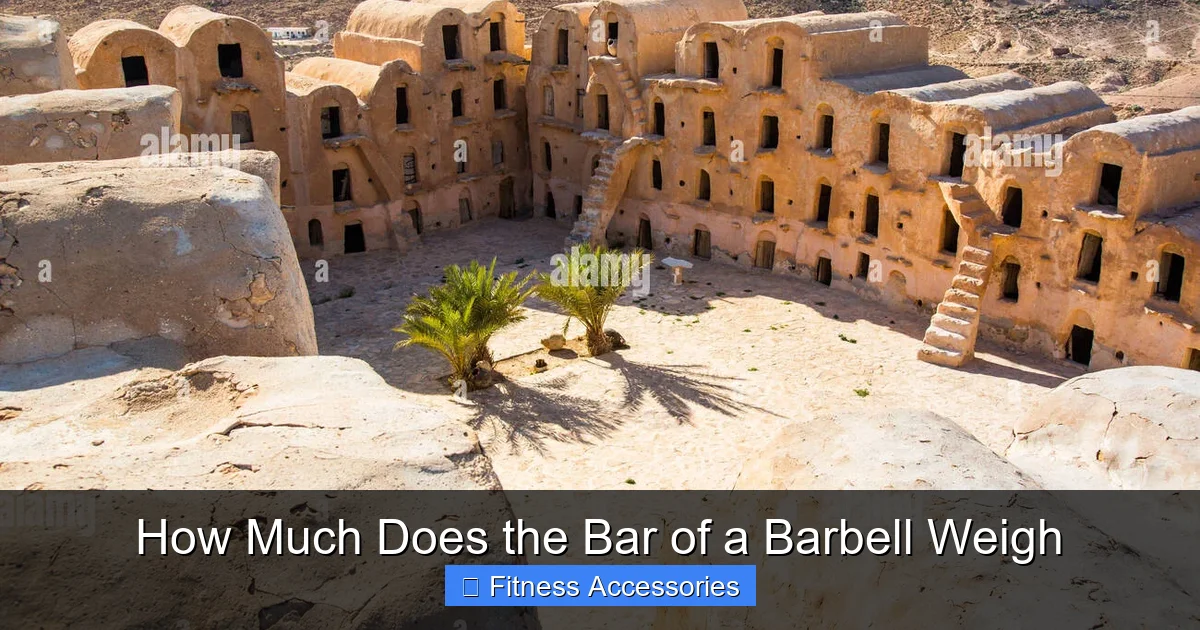 How Much Does the Bar of a Barbell Weigh