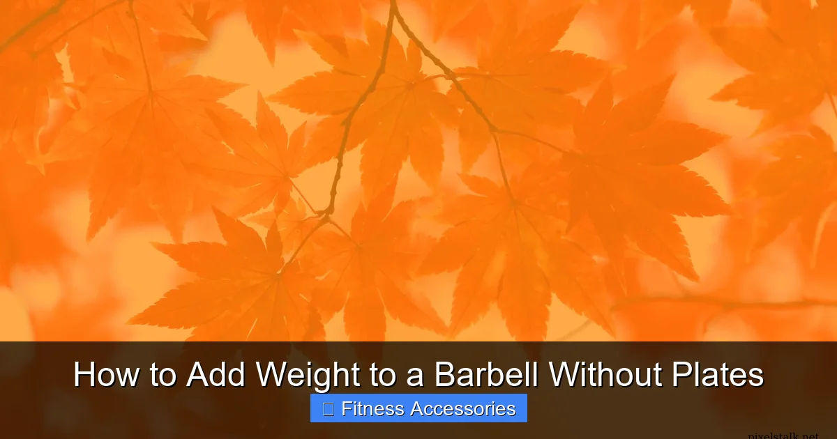 How to Add Weight to a Barbell Without Plates