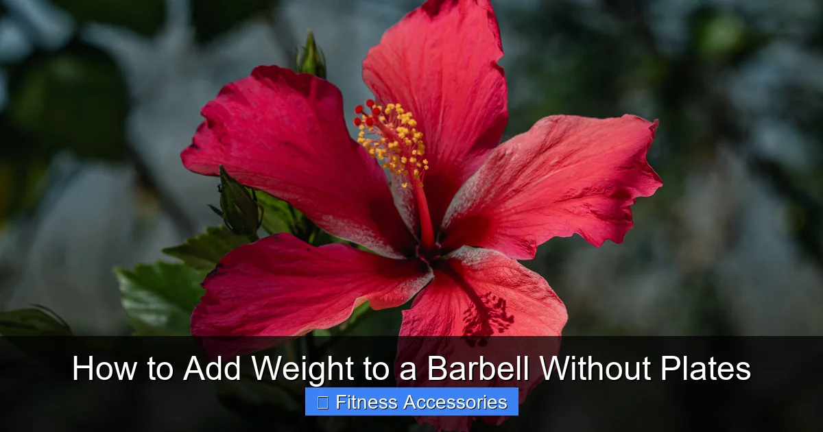 How to Add Weight to a Barbell Without Plates
