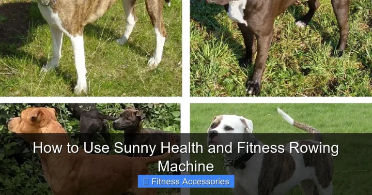 How to Use Sunny Health and Fitness Rowing Machine