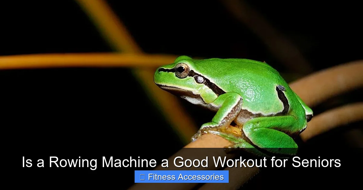 Is a Rowing Machine a Good Workout for Seniors