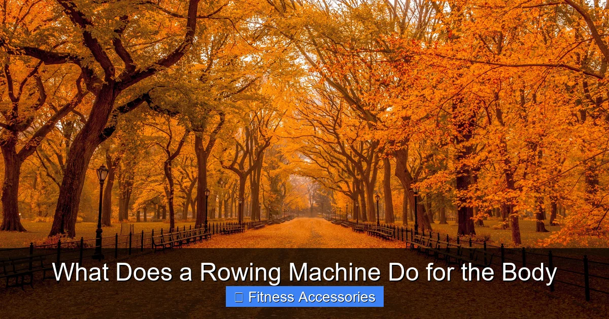 What Does a Rowing Machine Do for the Body