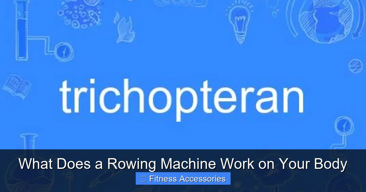 What Does a Rowing Machine Work on Your Body