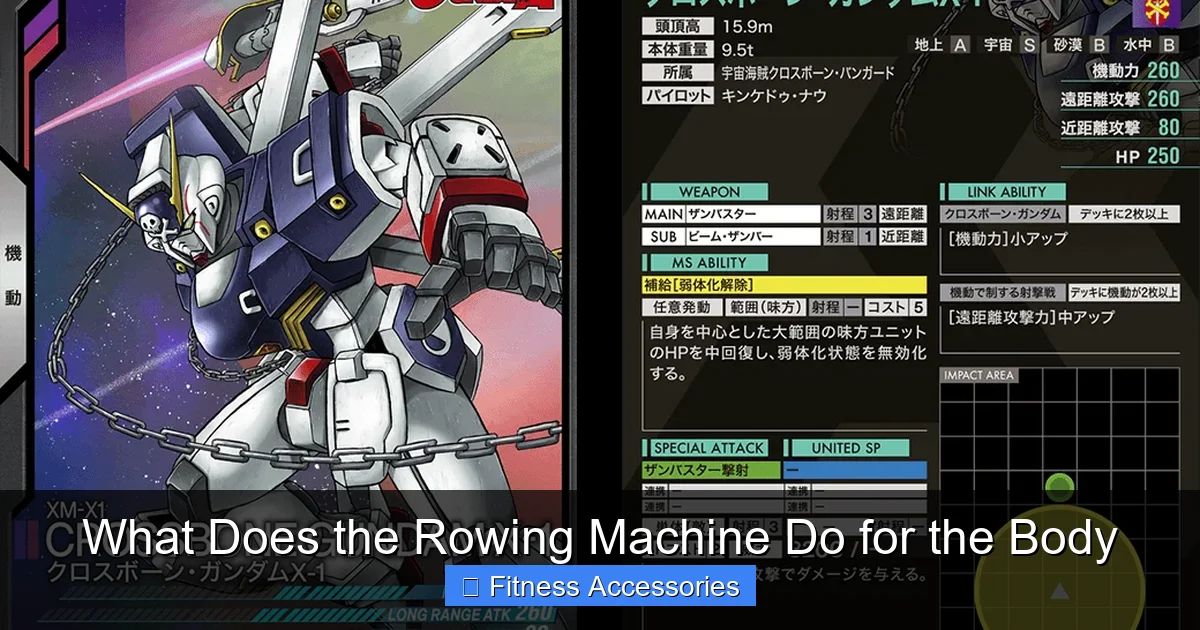 What Does the Rowing Machine Do for the Body
