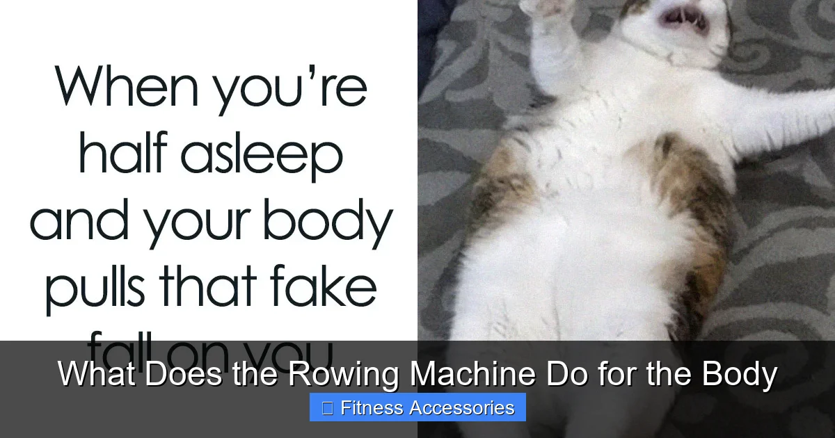 What Does the Rowing Machine Do for the Body