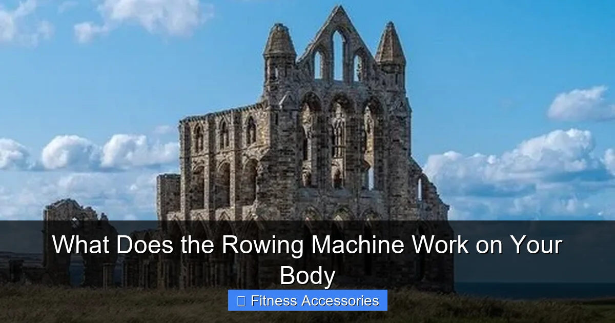What Does the Rowing Machine Work on Your Body