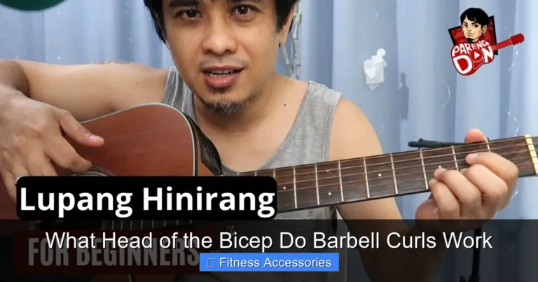 What Head of the Bicep Do Barbell Curls Work