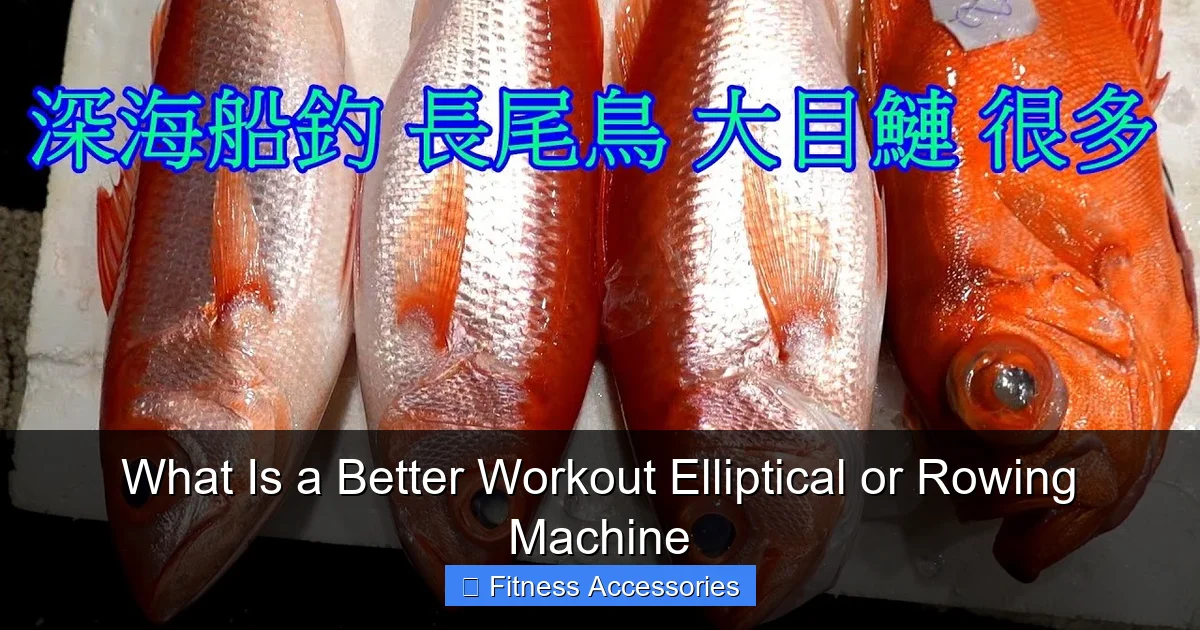 What Is a Better Workout Elliptical or Rowing Machine