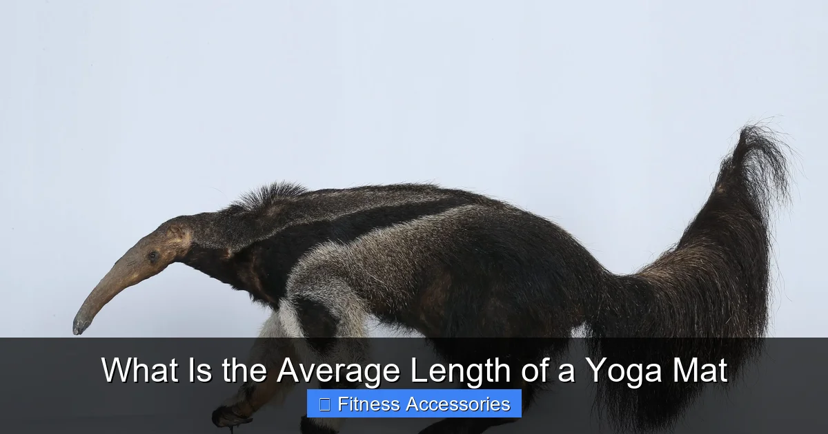 What Is the Average Length of a Yoga Mat