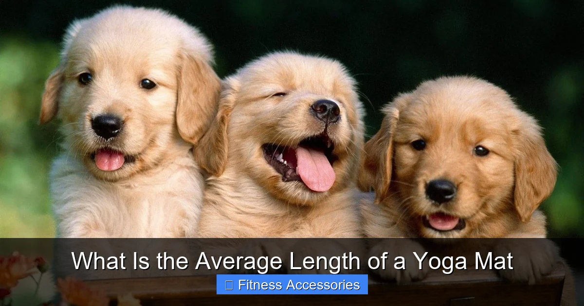What Is the Average Length of a Yoga Mat