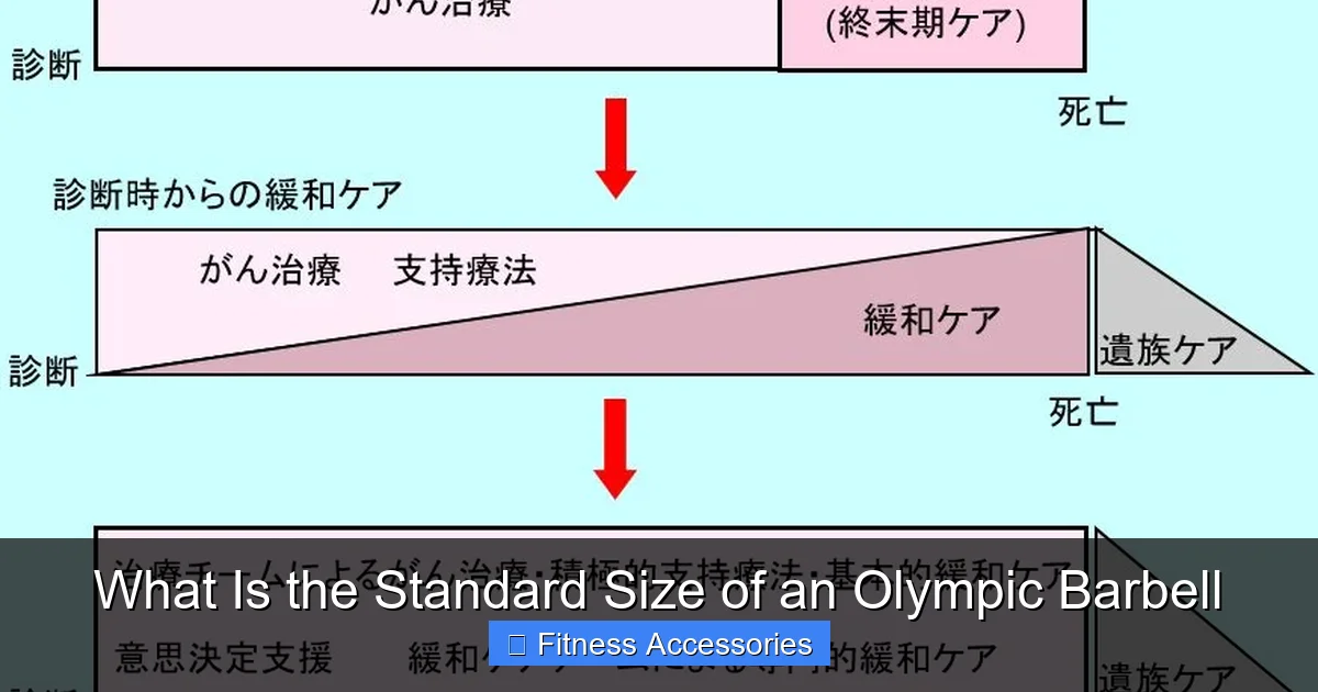 What Is the Standard Size of an Olympic Barbell