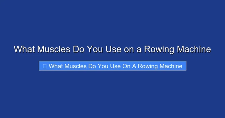 What Muscles Do You Use on a Rowing Machine