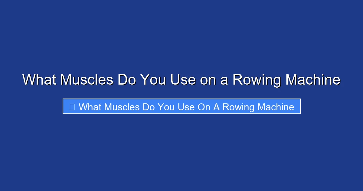 What Muscles Do You Use on a Rowing Machine