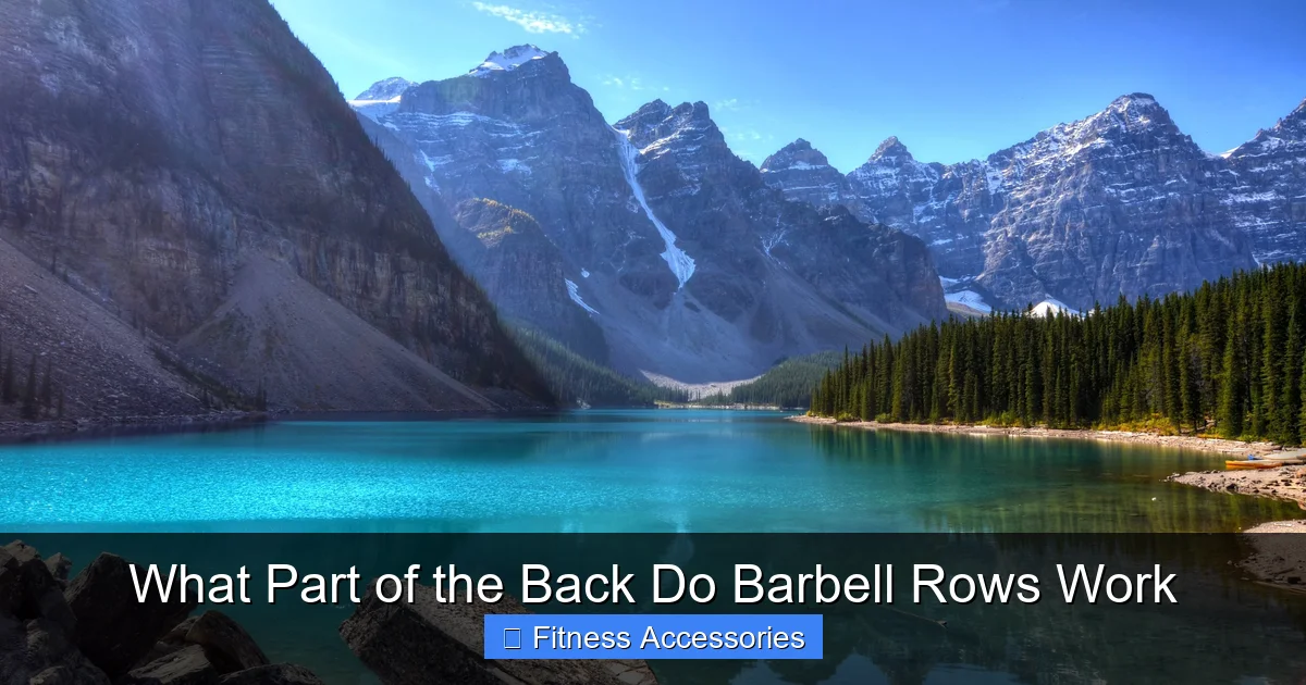 What Part of the Back Do Barbell Rows Work