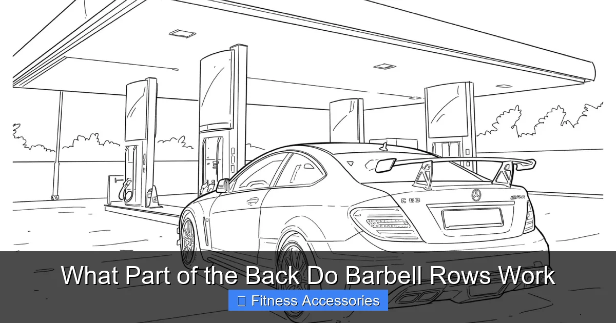 What Part of the Back Do Barbell Rows Work